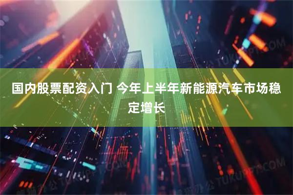 国内股票配资入门 今年上半年新能源汽车市场稳定增长